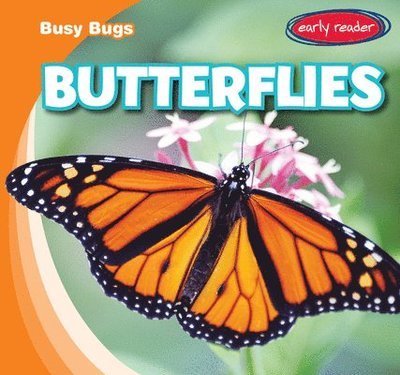 Cover for Bray Jacobson · Butterflies (Hardcover Book) (2021)