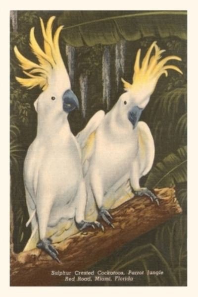Cover for Found Image Press · Vintage Journal Sulfur-Crested Cockatoos, Miami, Florida (Book) (2022)