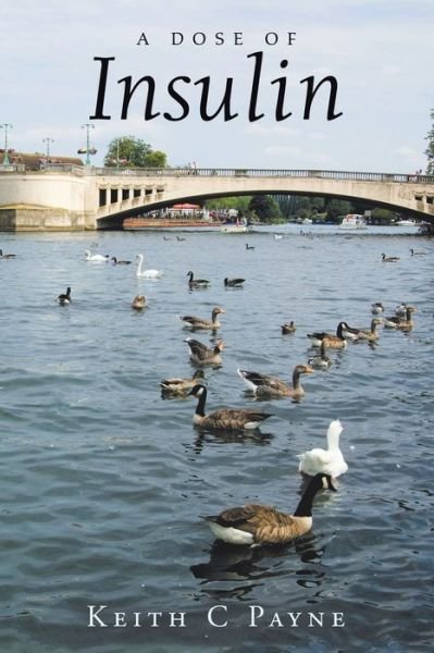 Cover for Keith C. Payne · Dose of Insulin (Book) (2020)