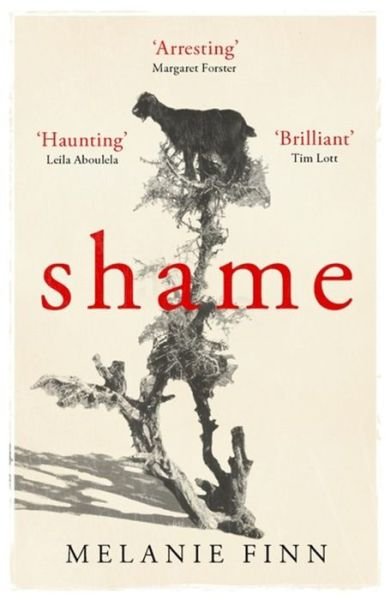 Cover for Melanie Finn · Shame (Book) (2016)