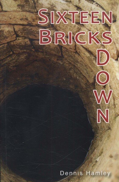 Cover for Hamley Dennis · Sixteen Bricks Down - Shades (Paperback Book) (2014)