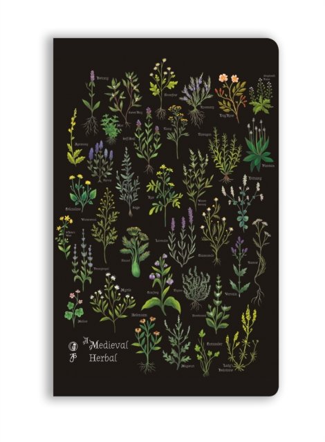 Cover for Flame Tree Studio · Anna Stead: A Medieval Herbal (Soft Touch Journal) - Flame Tree Soft Touch Journals (Stationery) (2026)