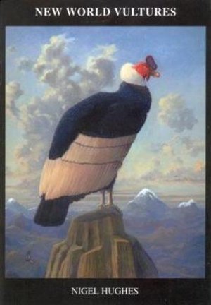 Cover for Nigel Hughes · The New World Vultures (Paperback Book) (2015)