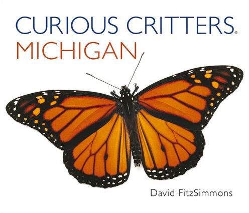 Cover for David Fitzsimmons · Curious Critters Michigan (Board book) (2015)