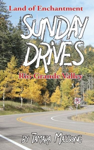Cover for Tamara Massong · Sunday Drives: Rio Grande Valley (Paperback Book) (2019)