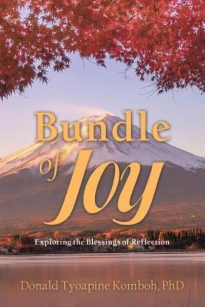 Cover for Donald Tyoapine Komboh · Bundle of Joy (Paperback Book) (2019)