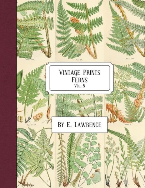 Cover for E Lawrence · Vintage Prints (Paperback Book) (2018)