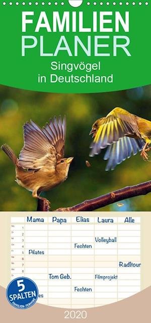Cover for Klapp · Singvögel in Deutschland - Famili (Book)