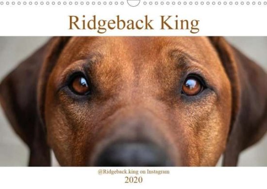 Cover for Sölter · Ridgeback King (Wandkalender 202 (Book)