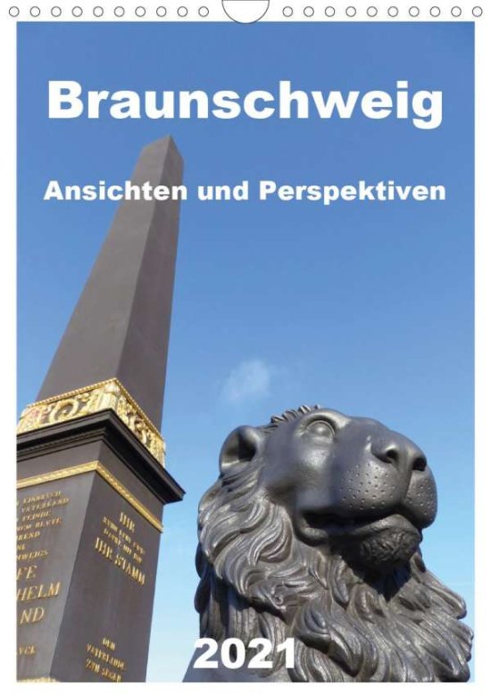 Cover for Schröer · Braunschweig Ansichten und Pers (Book)