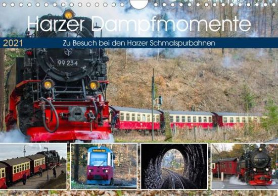 Cover for Felix · Harzer Dampfmomente (Wandkalender (Book)