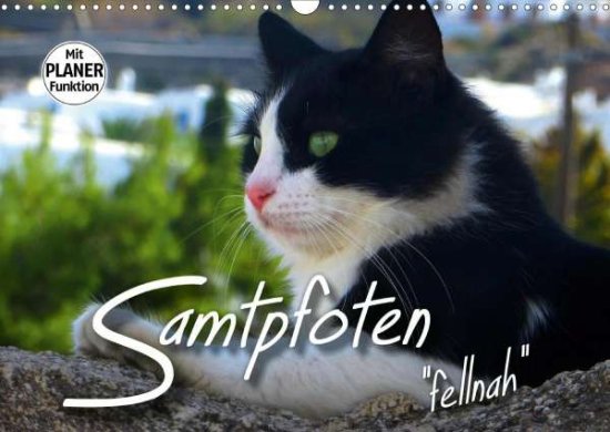 Cover for Bleicher · SAMTPFOTEN "fellnah" (Wandkale (Book)