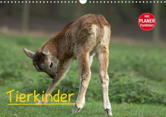 Cover for Klatt · Tierkinder (Wandkalender 2021 DIN (Book)