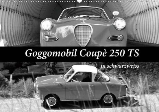 Cover for Laue · Goggomobil Coupè 250 TS in schwarz (Book)