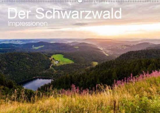 Cover for Dieterich · Der Schwarzwald Impressionen (Book)