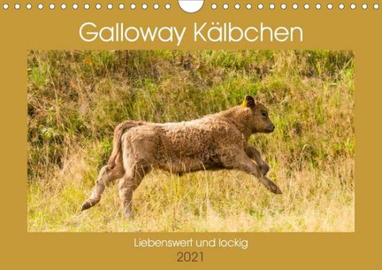 Cover for Bölts · Galloway Kälbchen - Liebenswert u (Book)