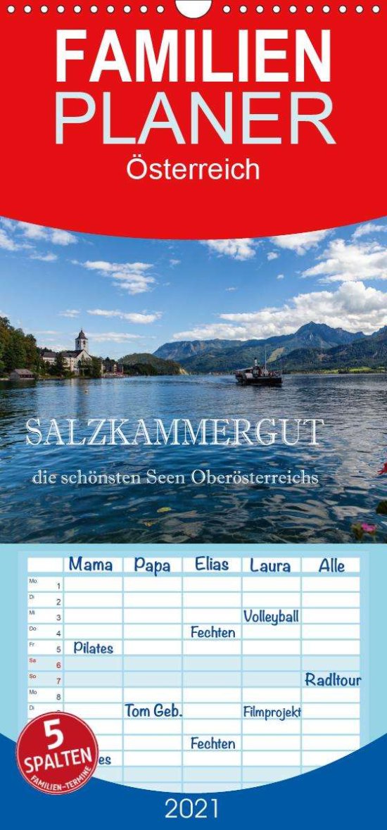 Cover for Pfleger · Salzkammergut - Die schönsten S (Book)