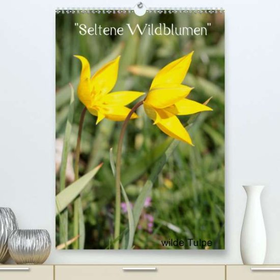 Cover for Erlwein · "Seltene Wildblumen" (Premium, (Book)