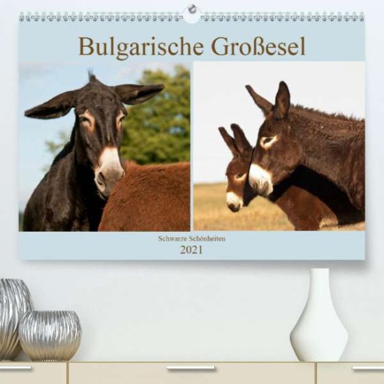 Cover for Bölts · Bulgarische Großesel - Schwarze S (Book)
