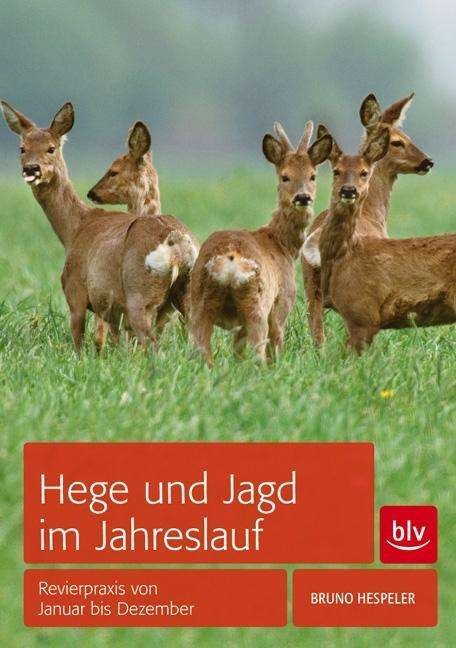 Cover for Bruno Hespeler · Hege Und Jagd Im Jahreslauf: Revierpraxis Von Januar Bis Dezember (Blv Jagdpraxi (Book) (2024)