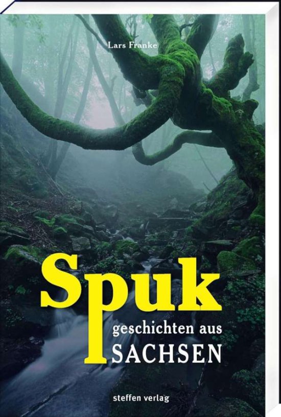 Cover for Franke · Spukgeschichten aus Sachsen (Book)