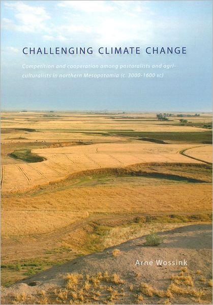 Cover for Arne Wossink · Challenging Climate Change (Paperback Book) (2010)