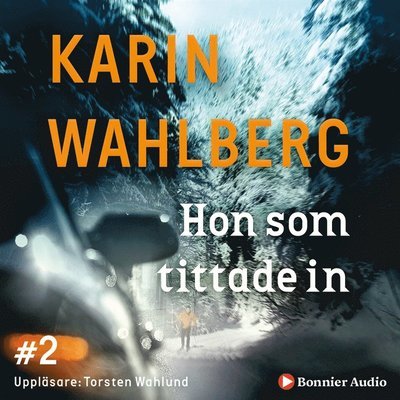 Cover for Karin Wahlberg · Hon som tittade in (Audiobook (MP3)) (2020)