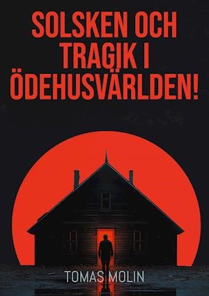 Cover for Tomas Molin · Solsken och tragik i Ödehusvärlden! : Närke, Östra Värmland och Västra Väst (Paperback Book) (2025)
