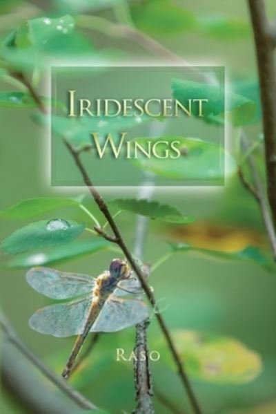 Cover for Hultgren Raso Hultgren · Iridescent Wings (Paperback Book) (2022)