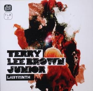 Cover for Terry Jr Lee Brown · Labyrinth (CD) (2021)