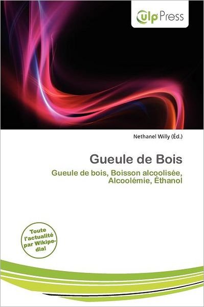 Cover for Nethanel Willy · Gueule de Bois (Book) (2011)