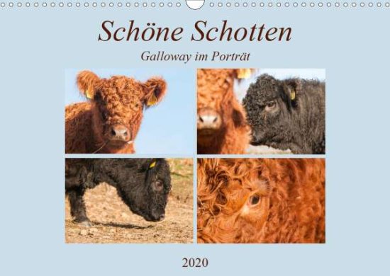 Cover for Bölts · Schöne Schotten - Galloway im Por (Book)