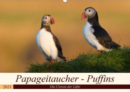 Cover for Jürgens · Papageitaucher - Puffins (Wandk (Book)