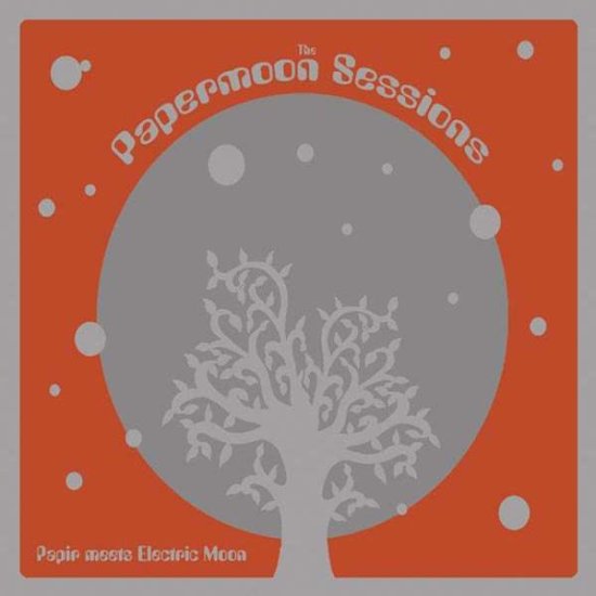 Cover for Papir Meets Electric Moon · The Papermoon Sessions (LP) (2013)