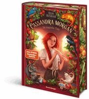 Cover for Skye McKenna · Cassandra Morgan, Band 2 - Die magische Flöte (Book) (2026)