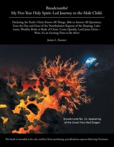 Cover for James L Koontz · Breadcrumbs!: My Five-Year Holy Spirit-Led Journey to the Male Child. (Paperback Book) (2020)