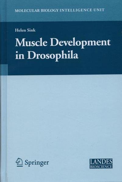 Cover for Helen Sink · Muscle Development in Drosophilia - Molecular Biology Intelligence Unit (Paperback Book) [1st Ed. Softcover of Orig. Ed. 2006 edition] (2010)