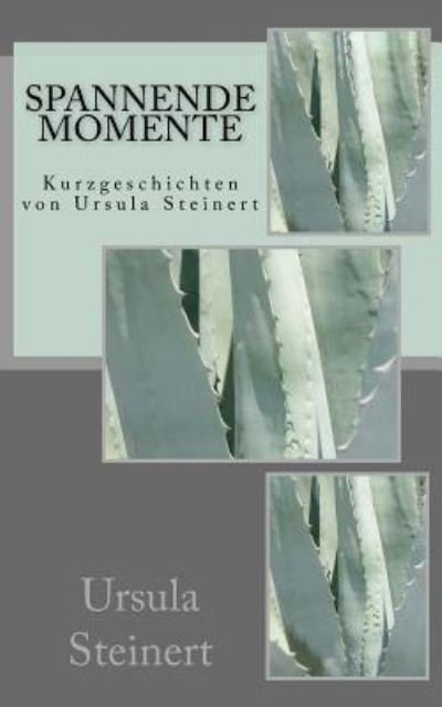 Spannende Momente - Ursula Steinert - 图书 - Createspace Independent Publishing Platf - 9781534731356 - 2016年6月16日