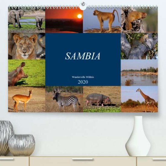 Cover for Woyke · Sambia - wundervolle Wildnis (Pre (Book)