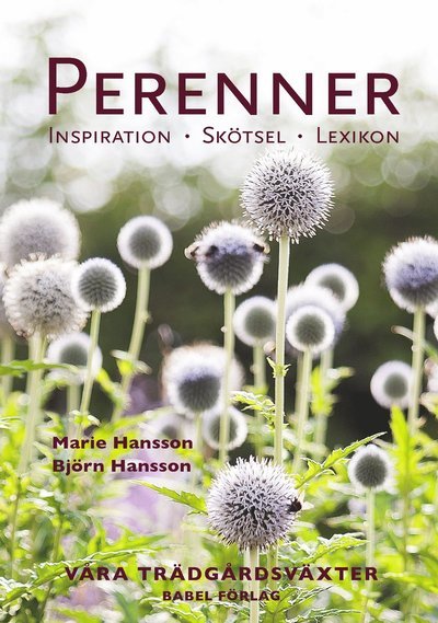 Cover for Björn Hansson Marie Hansson · Perenner : Inspiration - Skötsel - Lexikon (Hardcover Book) (2022)