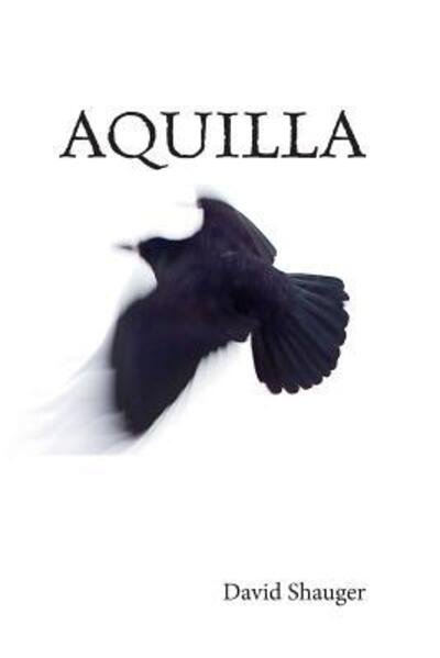 Cover for David Shauger · Aquilla (Paperback Book) (2015)