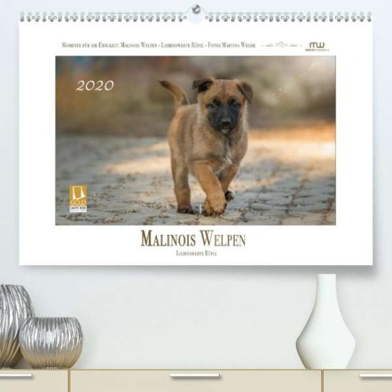Cover for Wrede · Malinois Welpen - Liebenswerte Rü (Book)