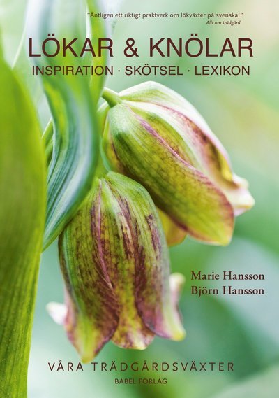 Cover for Björn Hansson Marie Hansson · Lökar &amp; knölar : inspiration, skötsel, lexikon (Hardcover Book) (2022)