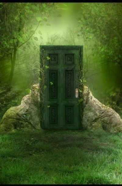 Cover for Rashawnia Sallee · Through the Doors (Paperback Book) (2019)