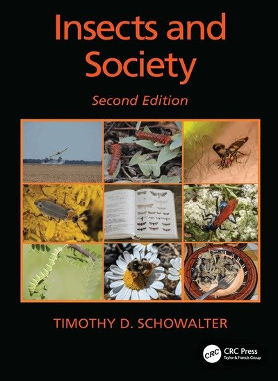 Cover for Timothy D. Schowalter · Insects and Society (Paperback Book) (2027)