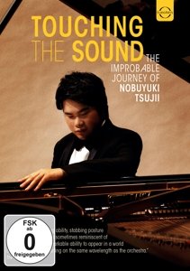 Cover for Compilation · Touching The Sound - Il Viaggio Improbab (DVD) (2014)
