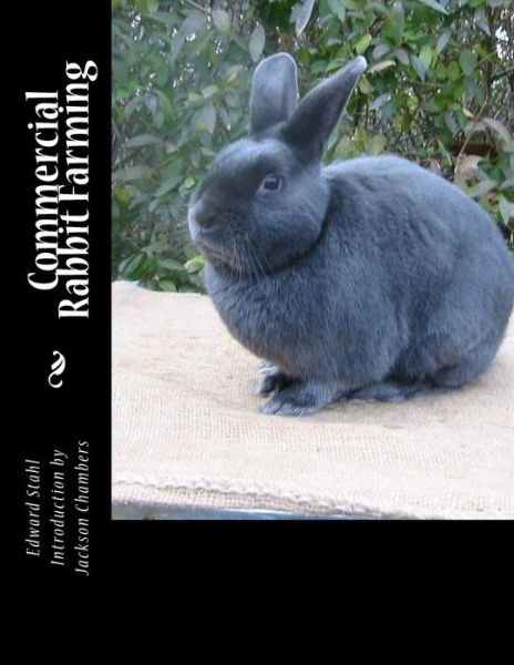 Cover for Edward Stahl · Commercial Rabbit Farming (Paperback Book) (2015)