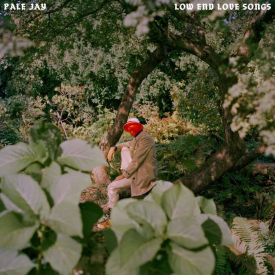 Cover for Pale Jay · Low End Love Songs (Coloured Vinyl) (LP) [Cloud Grey edition] (2024)