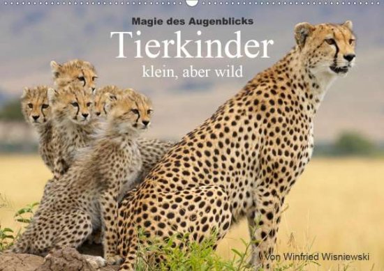 Cover for Wisniewski · Magie des Augenblicks - Tier (Book)
