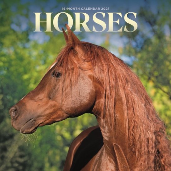 Horses M -  - 周边商品 - CAROUSEL CALENDARS 2027 - 9781529856415 - 2026年8月10日